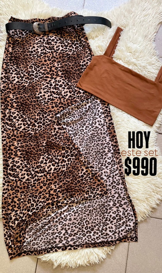 conjunto brown